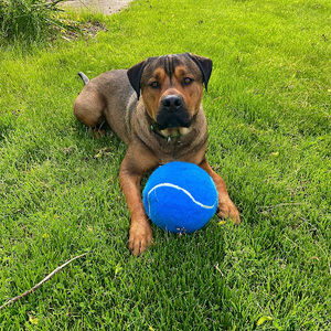Meet your Posher, Rylie